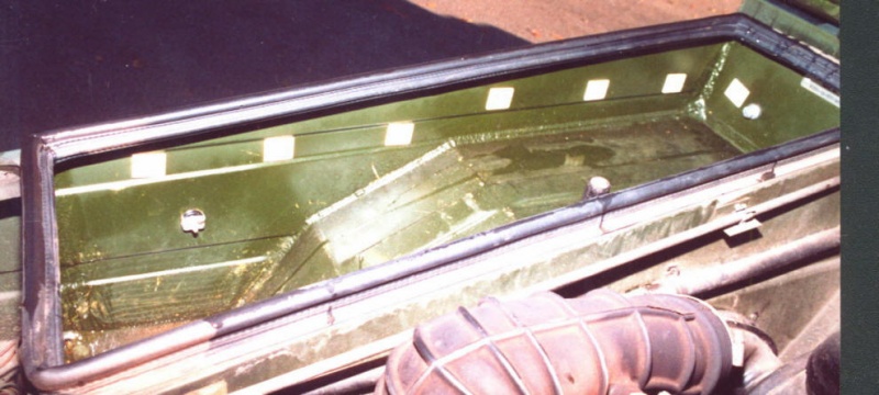 Datei:F iltis 06.jpg