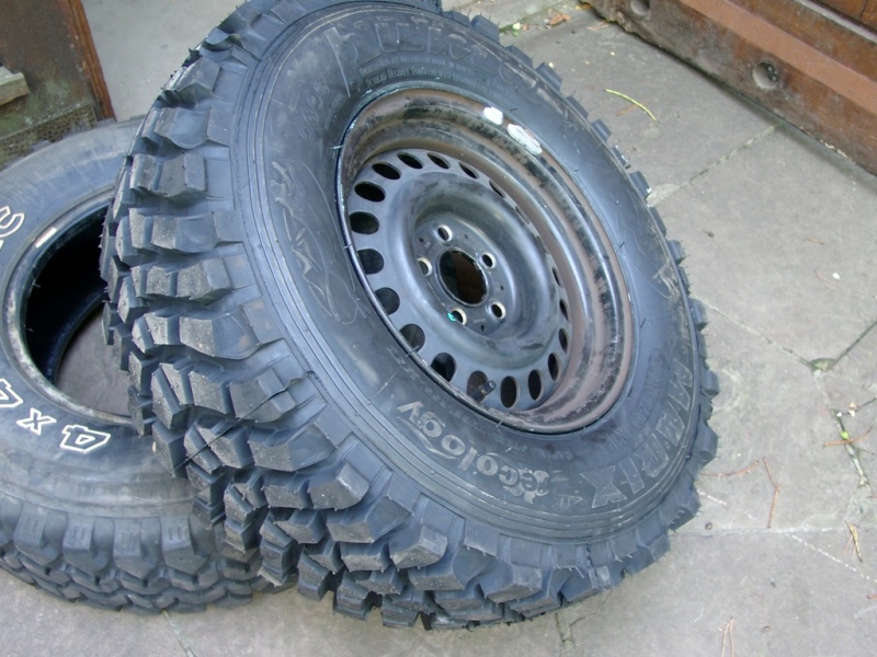 Datei:Matrix puma joe 01.jpg